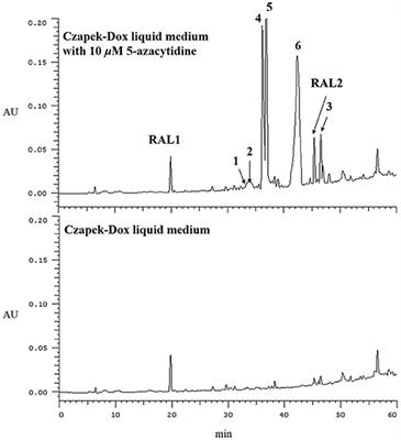 Co-cultivation With 5-Azacytidine Induced New Metabolites From the Zoanthid-Derived Fungus Cochliobolus lunatus